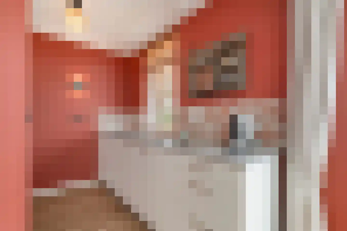 Dopheide 18 Julianadorp thumbnail 9