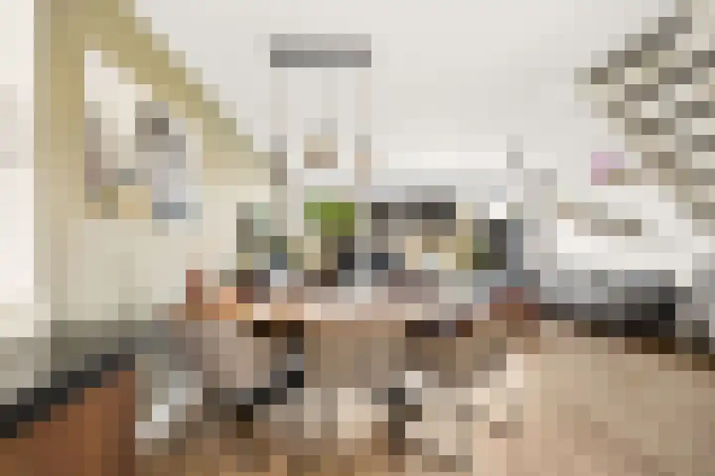 Dopheide 2 Amersfoort thumbnail 14