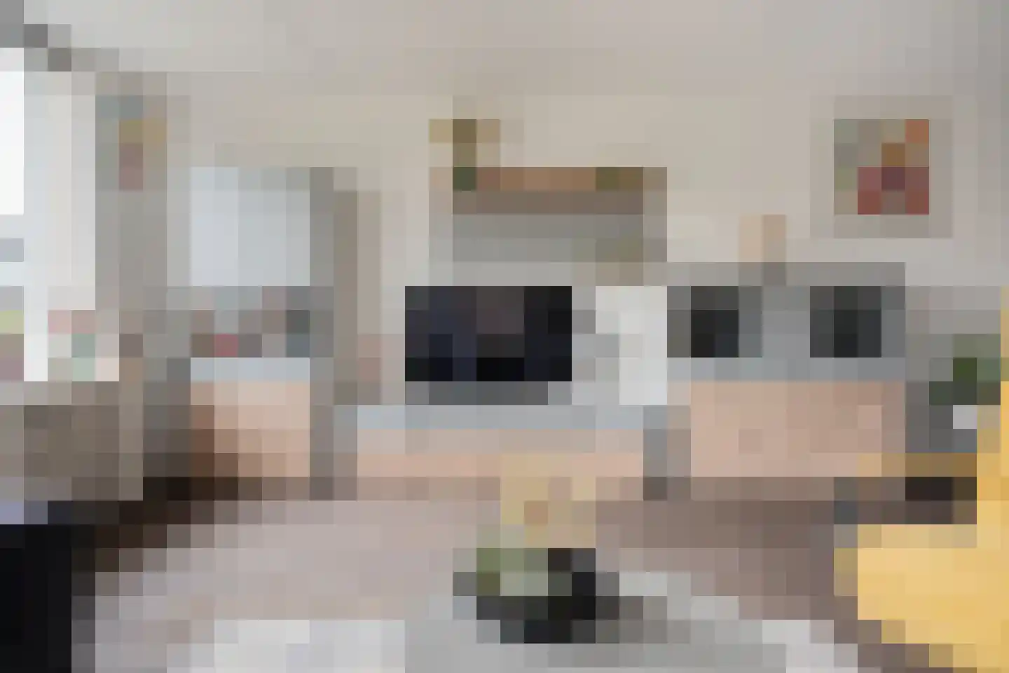 Dopheide 20 Sleen thumbnail 14