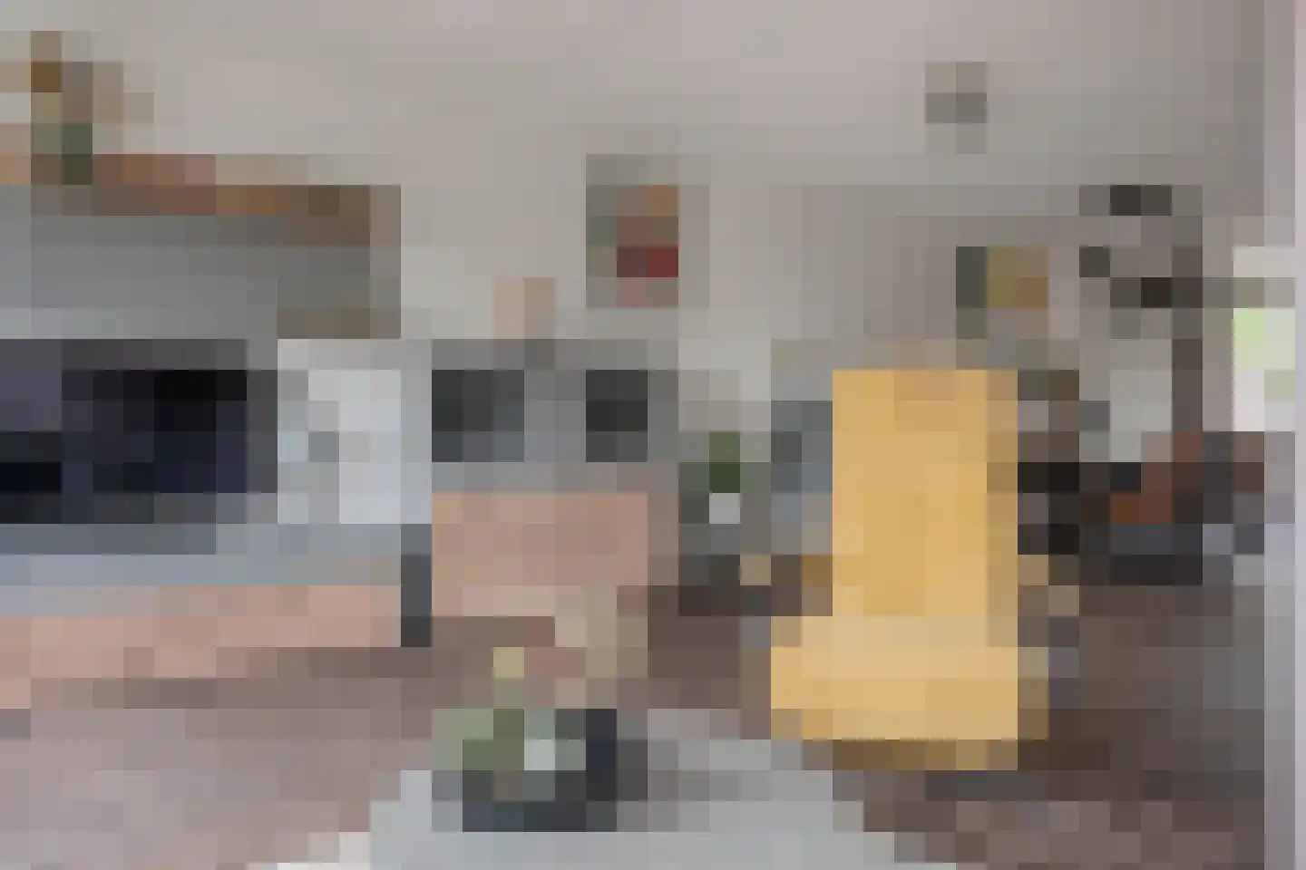 Dopheide 20 Sleen thumbnail 15