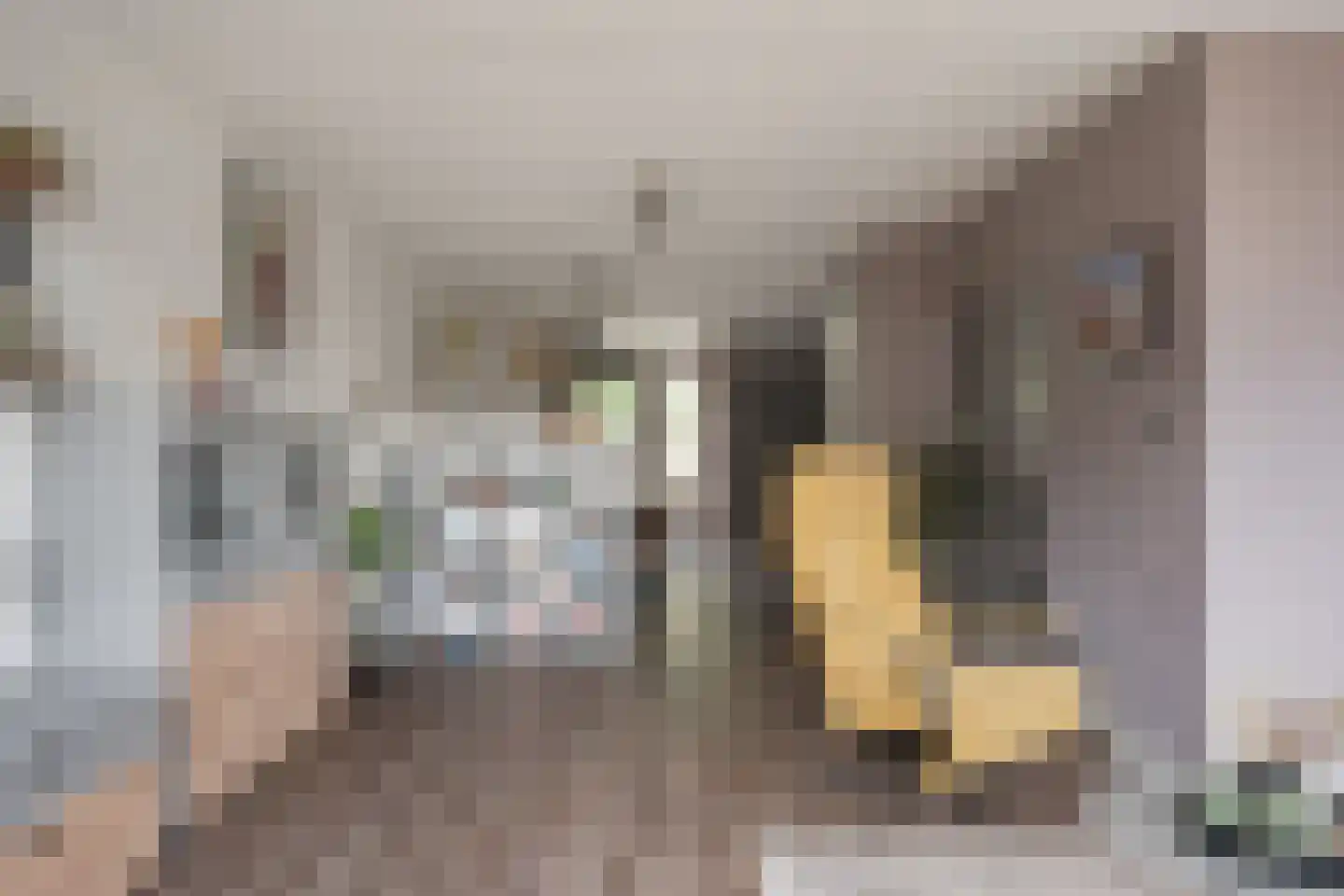 Dopheide 20 Sleen thumbnail 16