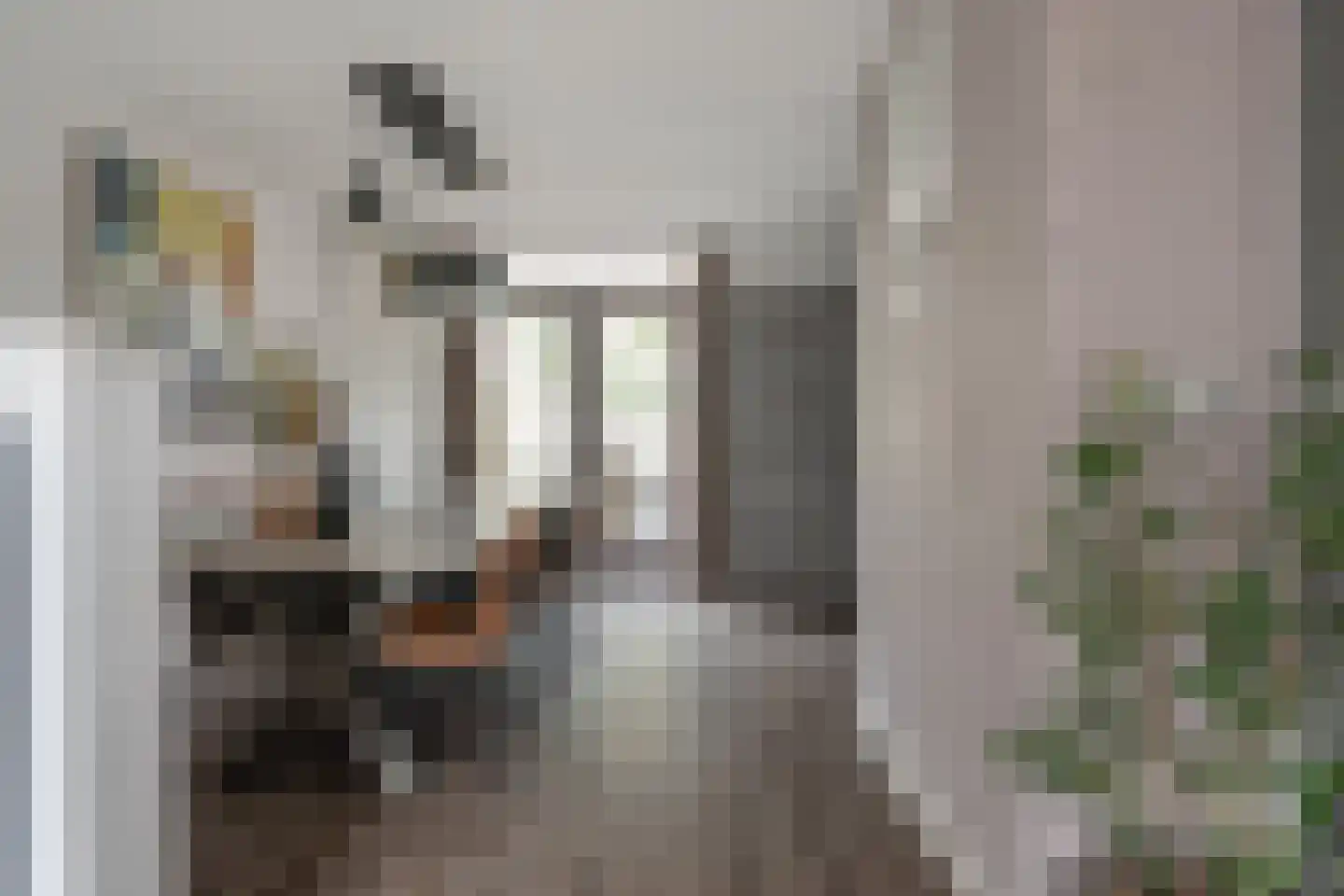 Dopheide 20 Sleen thumbnail 17