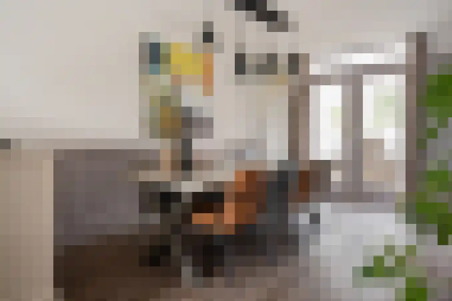 Dopheide 20 Sleen thumbnail 18