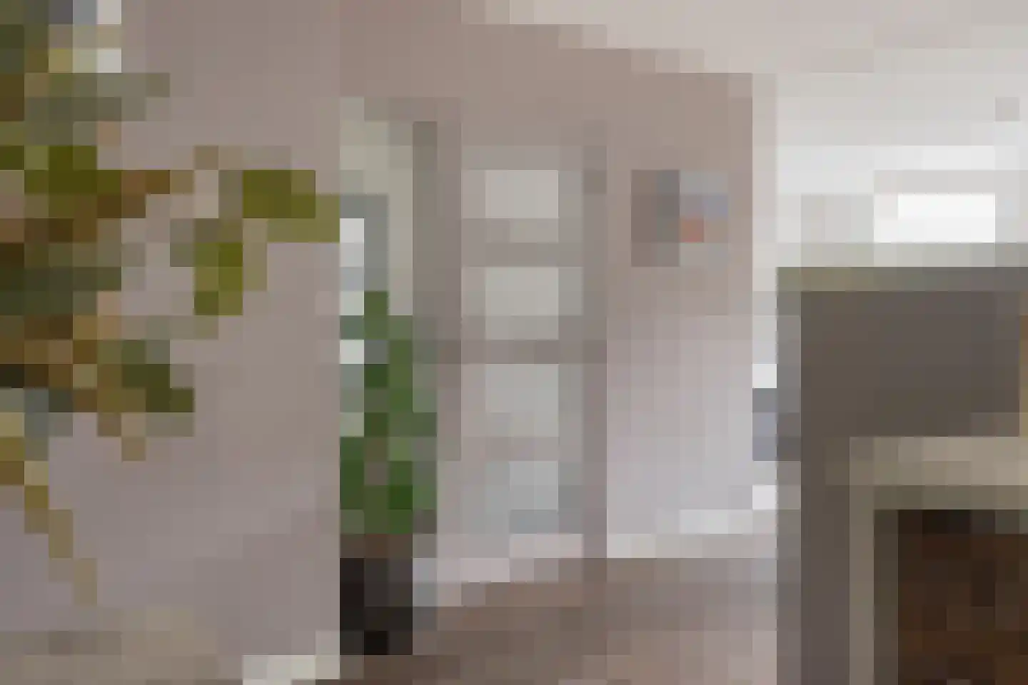 Dopheide 20 Sleen thumbnail 19