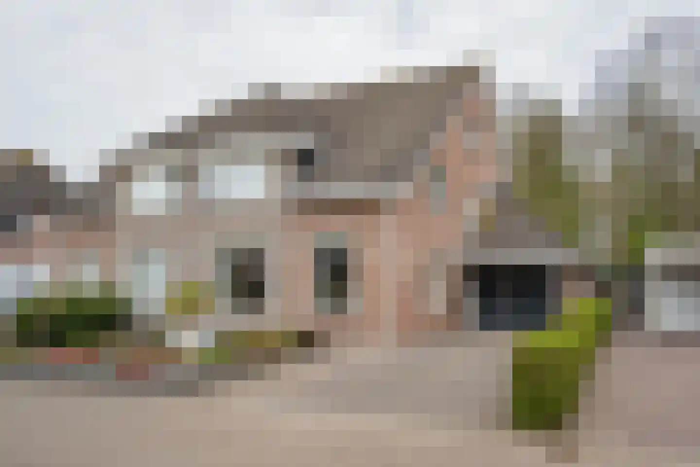 Dopheide 20 Sleen foto 2