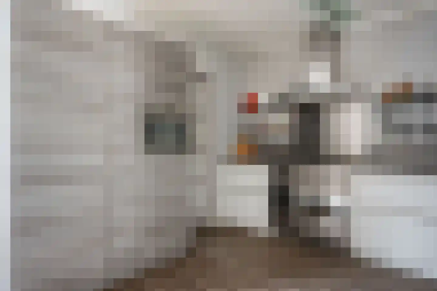 Dopheide 20 Sleen thumbnail 22