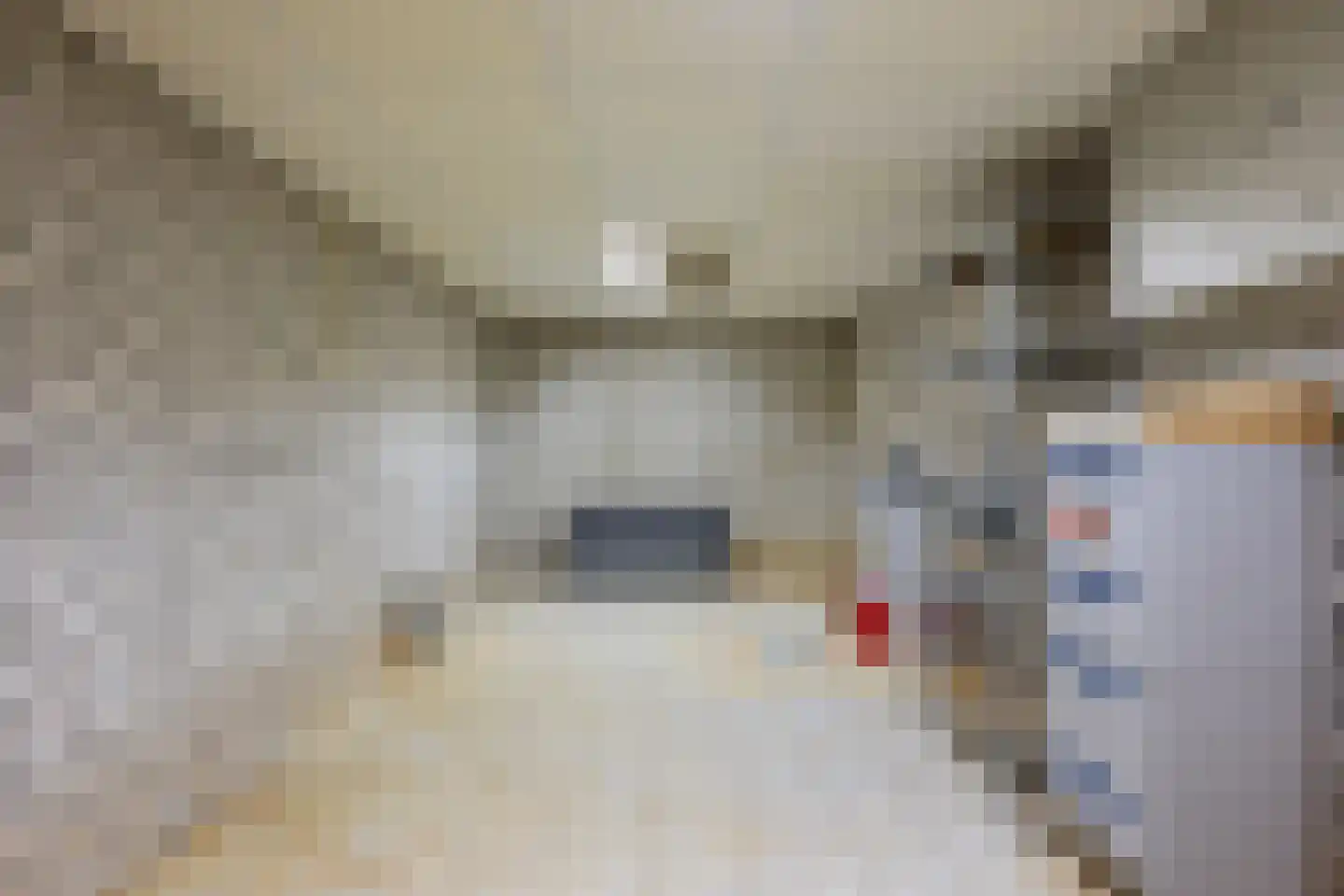Dopheide 20 Sleen thumbnail 26