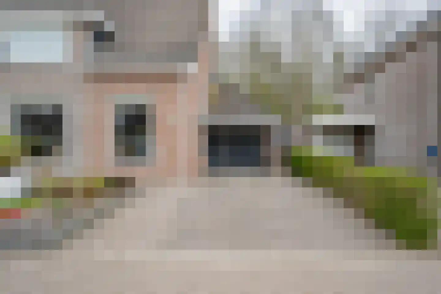 Dopheide 20 Sleen foto 3
