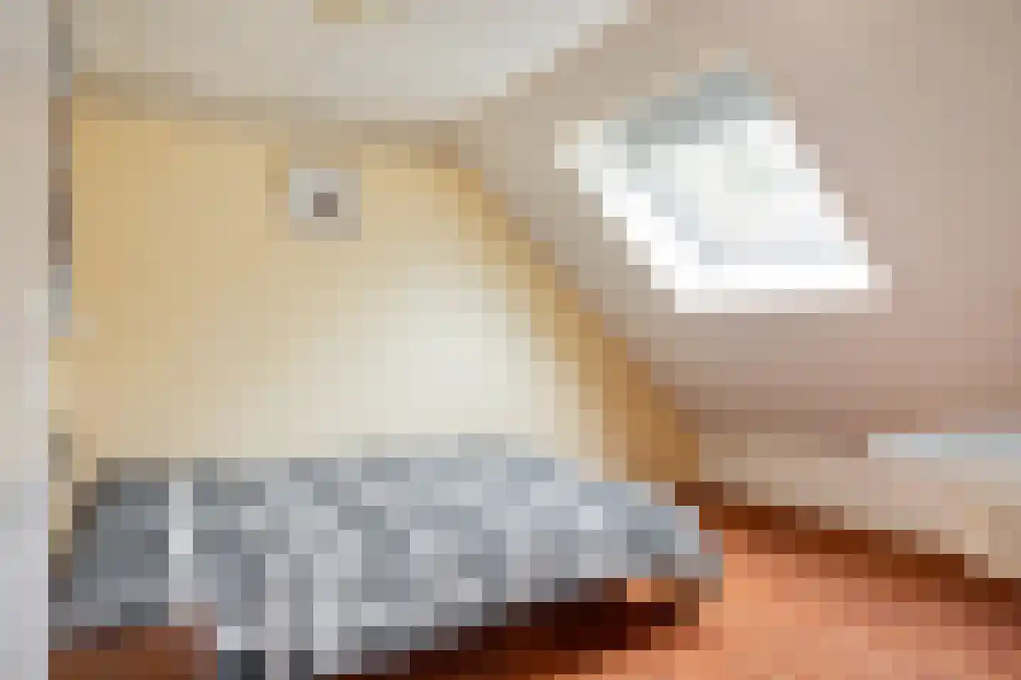 Dopheide 20 Sleen thumbnail 44
