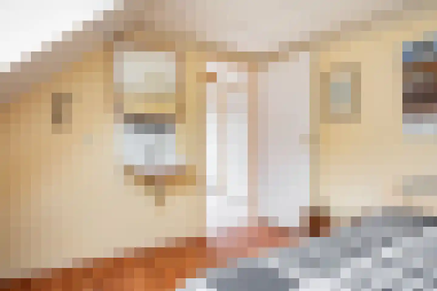 Dopheide 20 Sleen thumbnail 45
