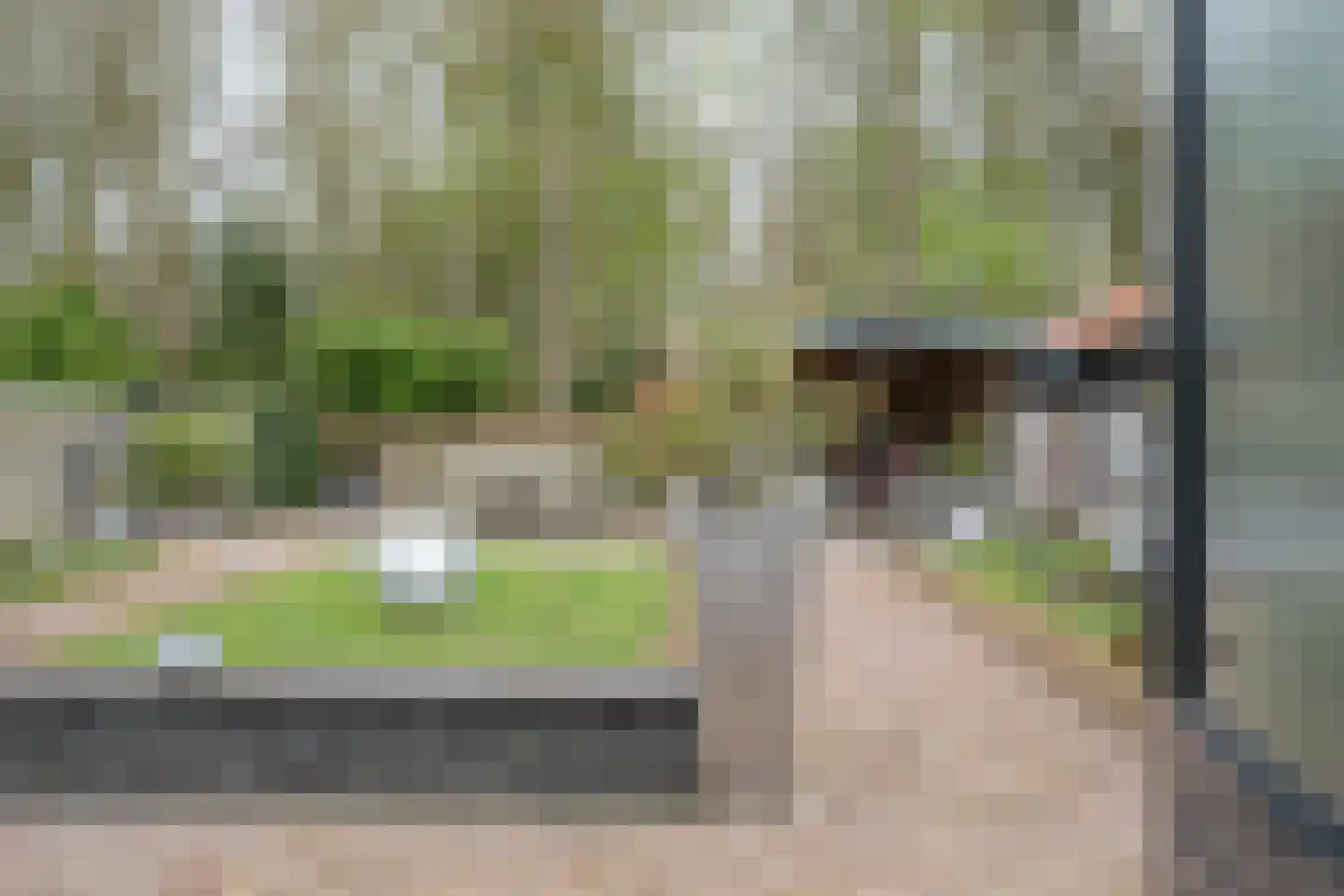 Dopheide 20 Sleen thumbnail 46