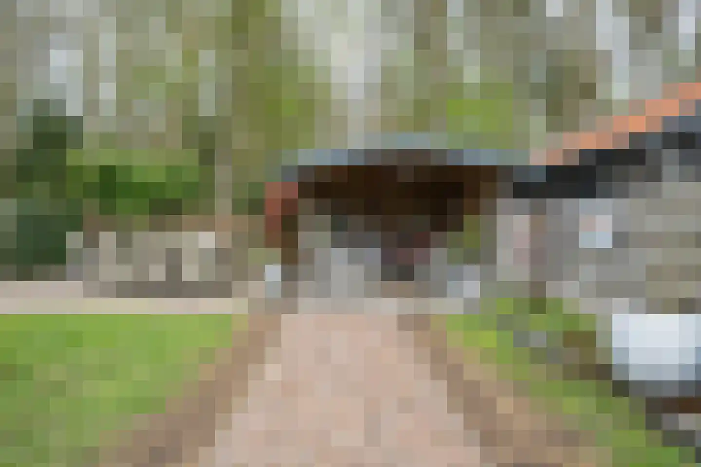 Dopheide 20 Sleen thumbnail 47