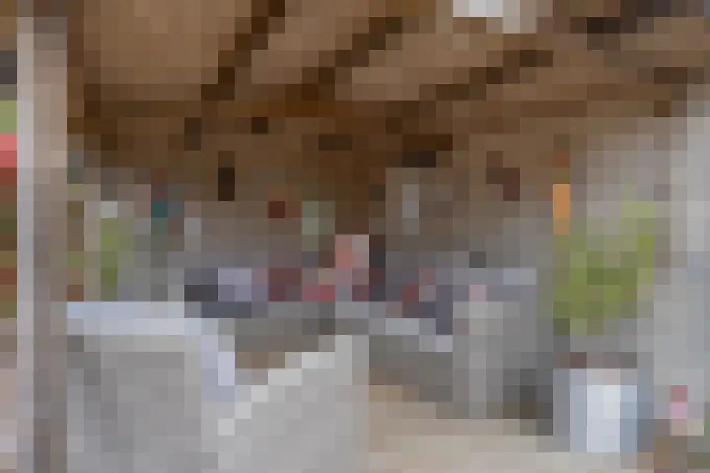 Dopheide 20 Sleen thumbnail 48