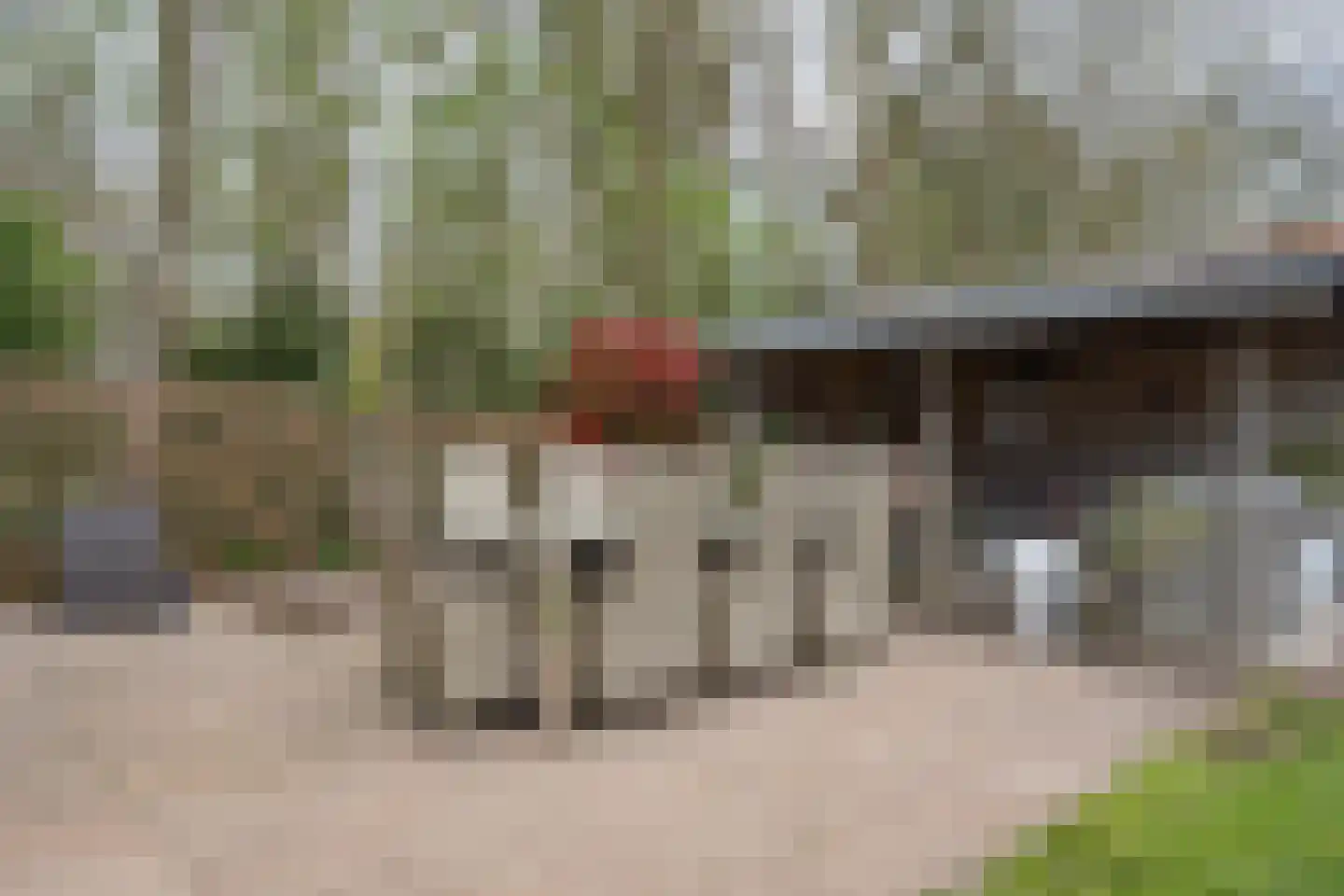 Dopheide 20 Sleen thumbnail 49