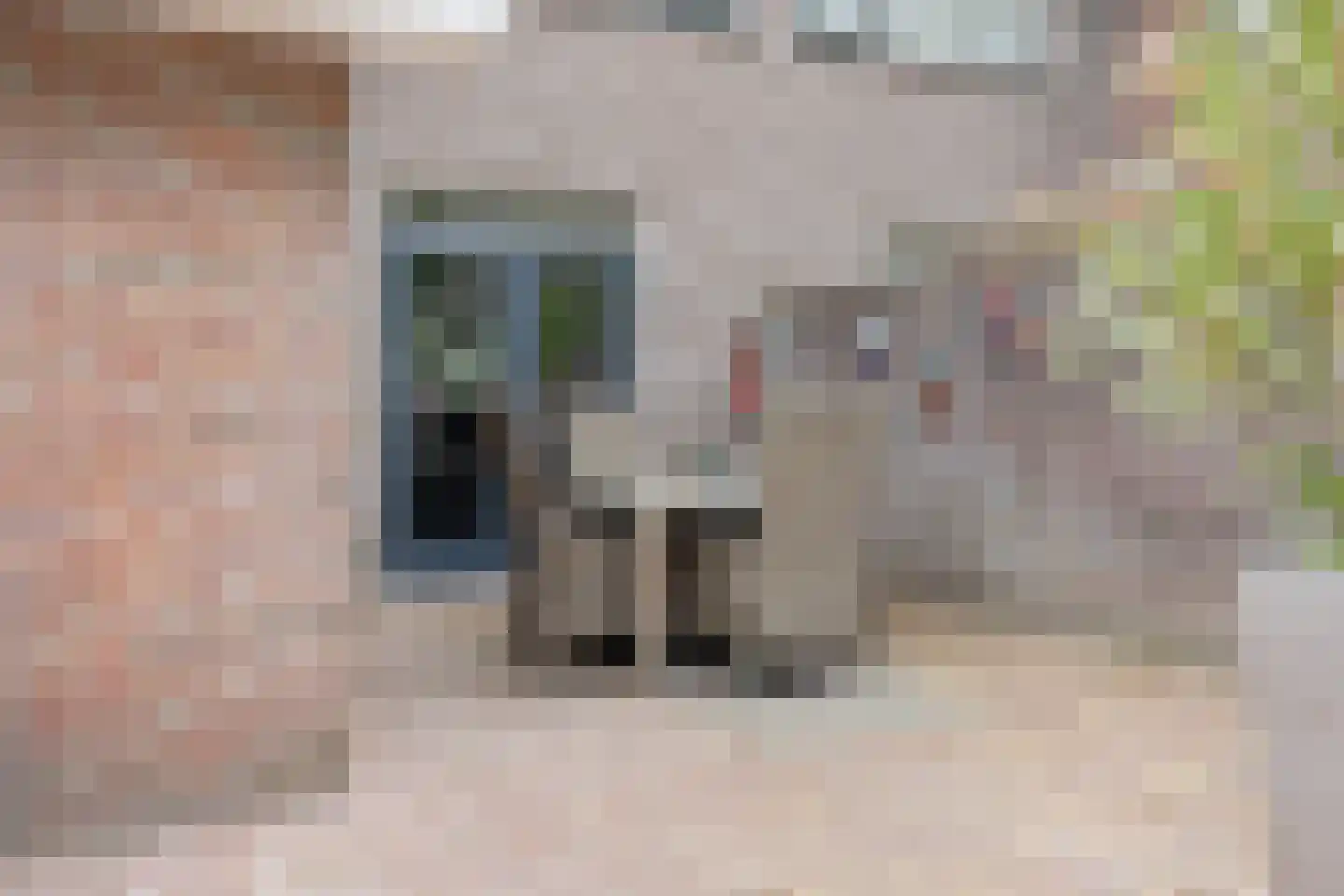 Dopheide 20 Sleen thumbnail 51