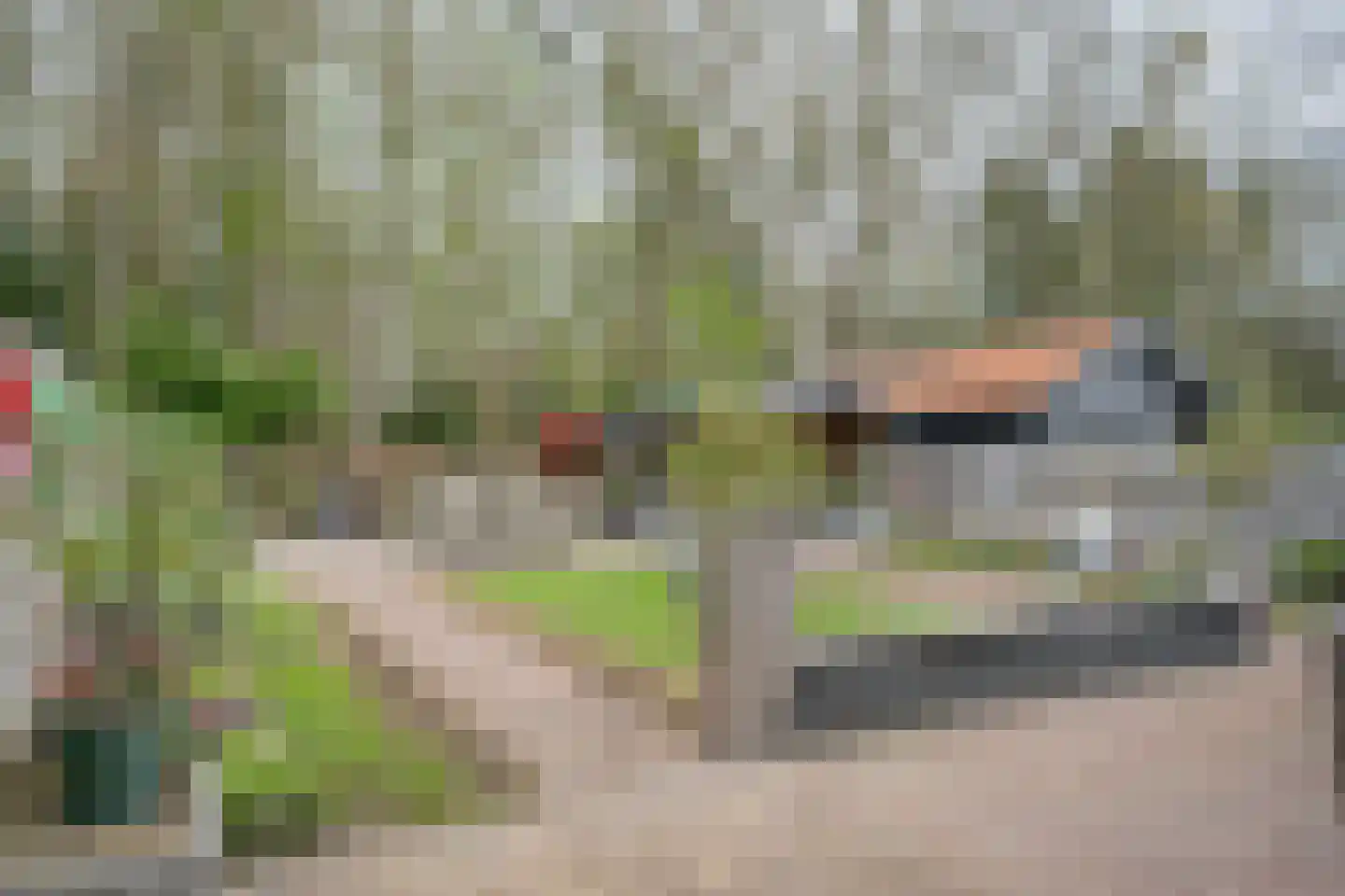 Dopheide 20 Sleen thumbnail 52