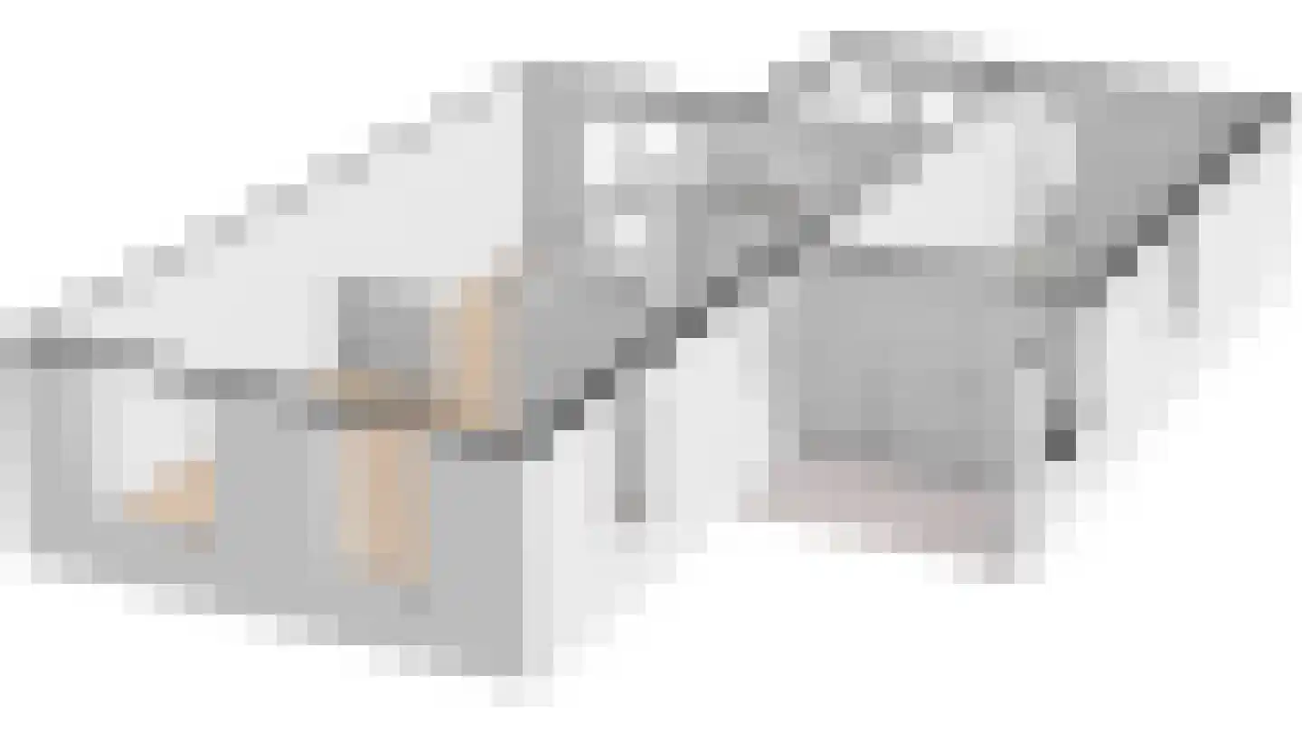 Dopheide 20 Sleen thumbnail 55