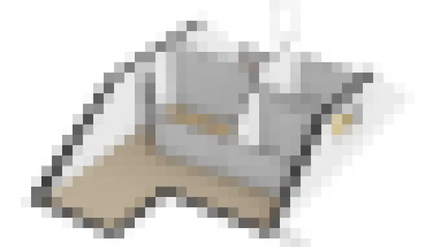 Dopheide 20 Sleen thumbnail 61