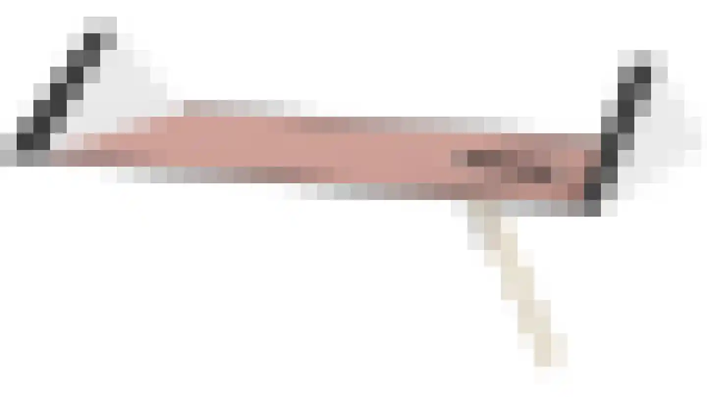 Dopheide 20 Sleen thumbnail 63