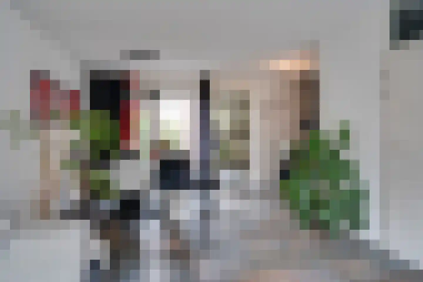 Dopheide 20 Ysselsteyn thumbnail 17