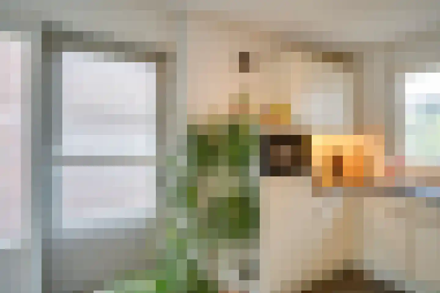 Dopheide 20 Ysselsteyn thumbnail 22