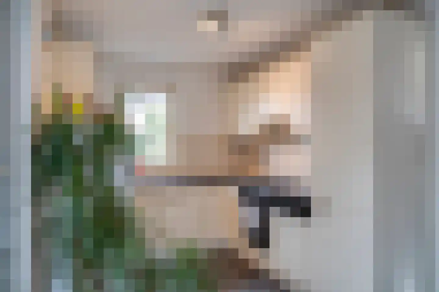 Dopheide 20 Ysselsteyn thumbnail 23