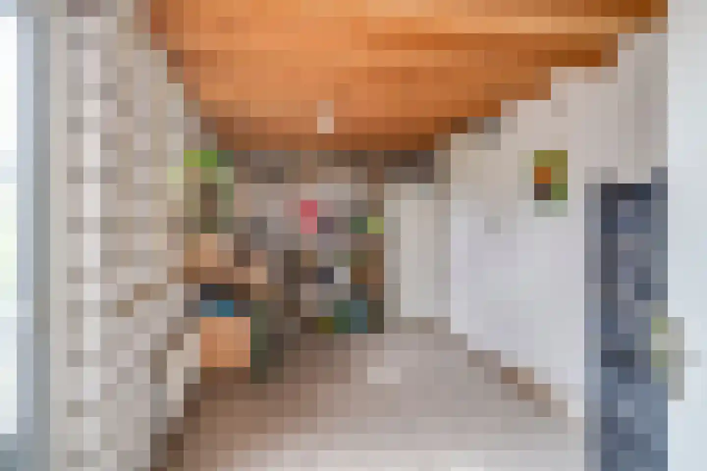 Dopheide 20 Ysselsteyn thumbnail 27