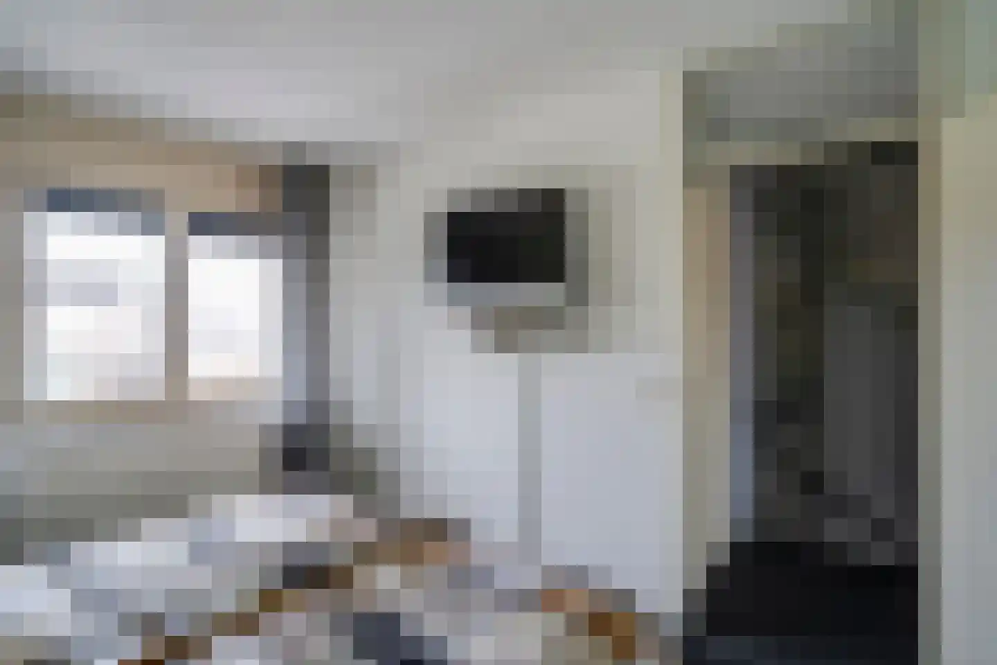 Dopheide 20 Ysselsteyn thumbnail 29