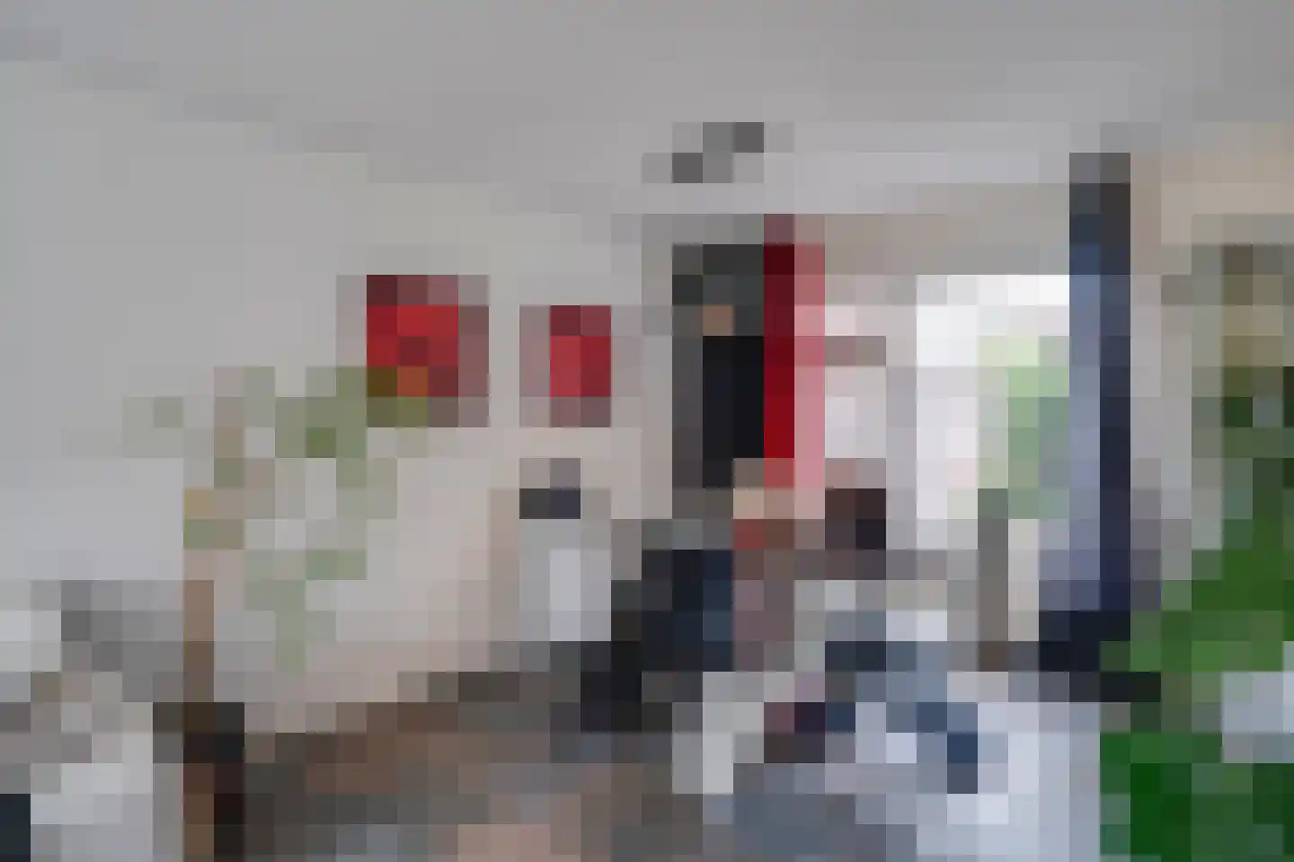 Dopheide 20 Ysselsteyn foto 3