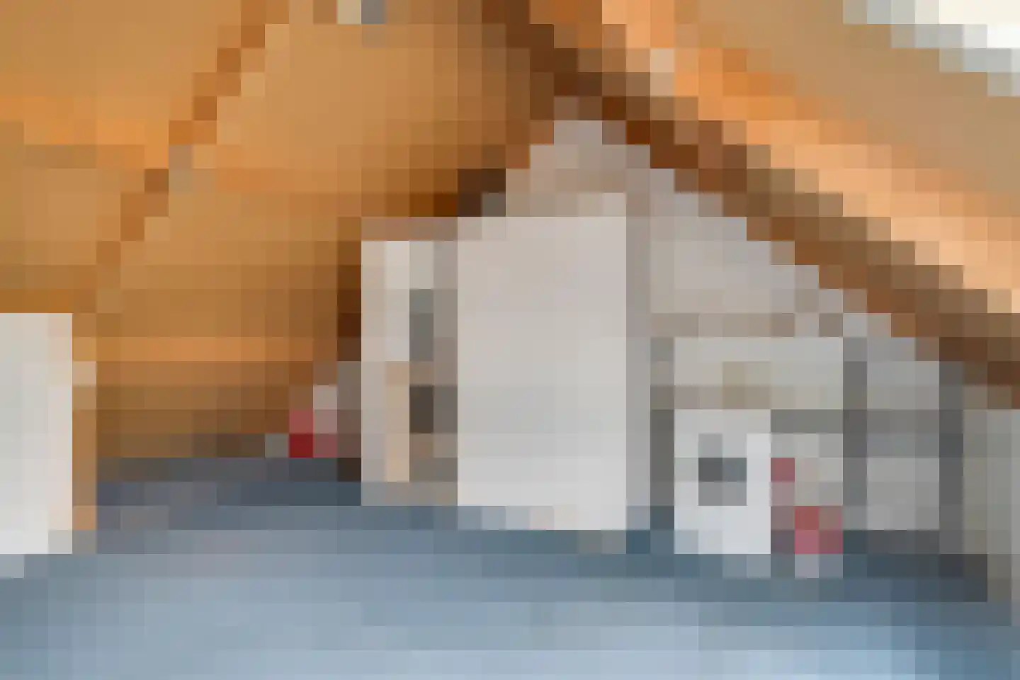 Dopheide 20 Ysselsteyn thumbnail 35