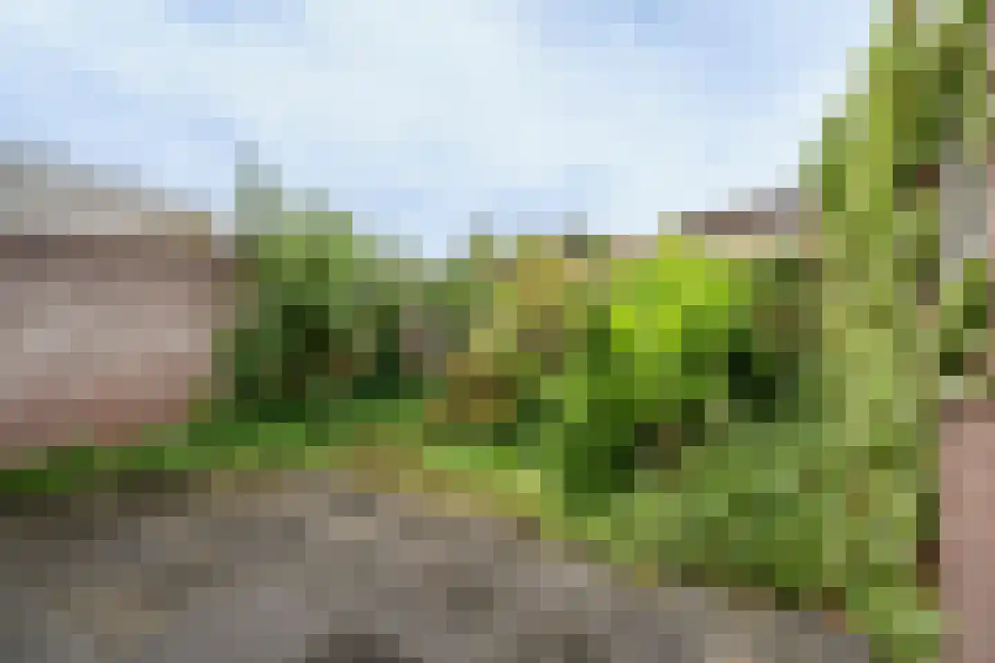 Dopheide 20 Ysselsteyn thumbnail 37