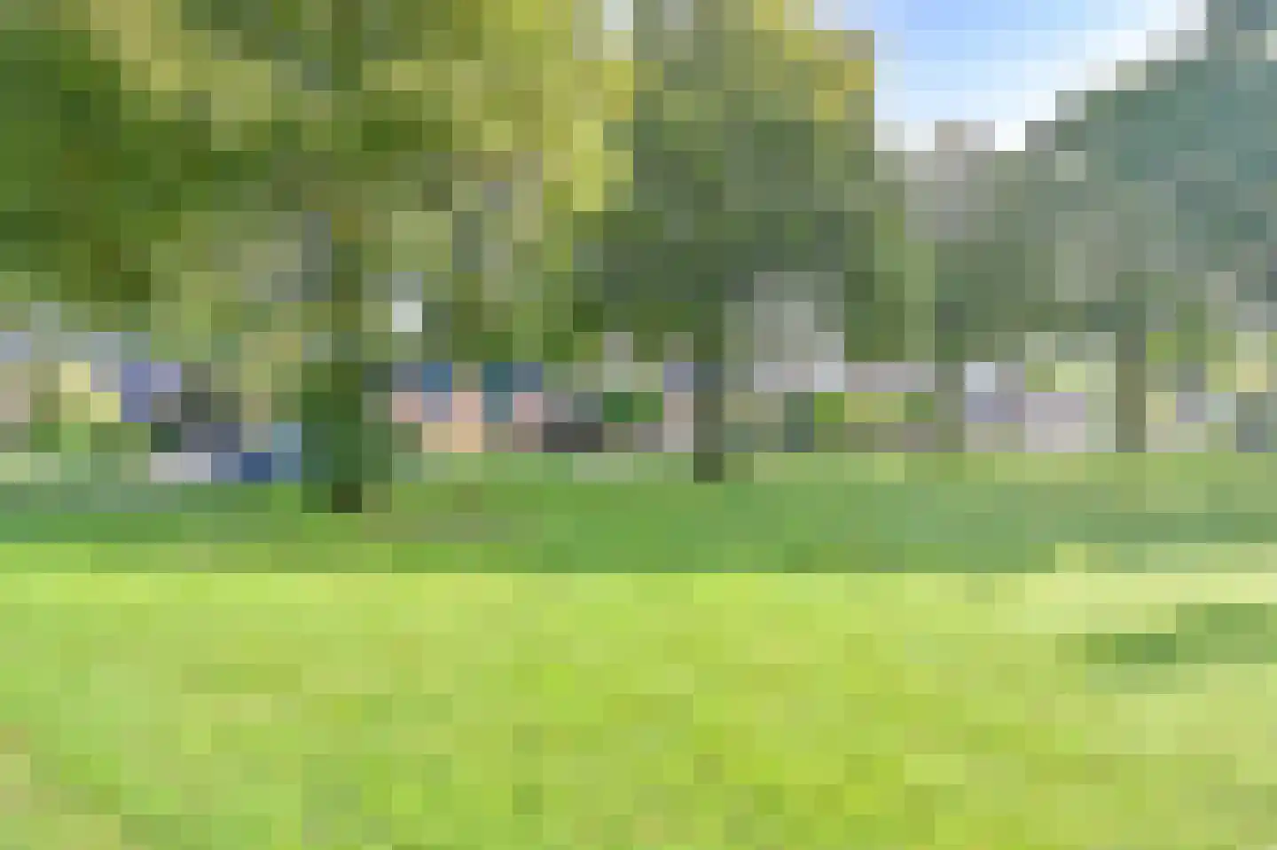 Dopheide 22 Odoorn thumbnail 13