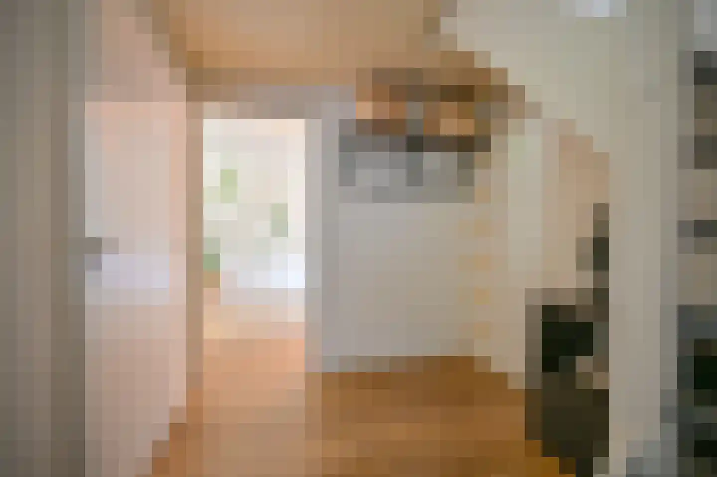 Dopheide 22 Odoorn thumbnail 18