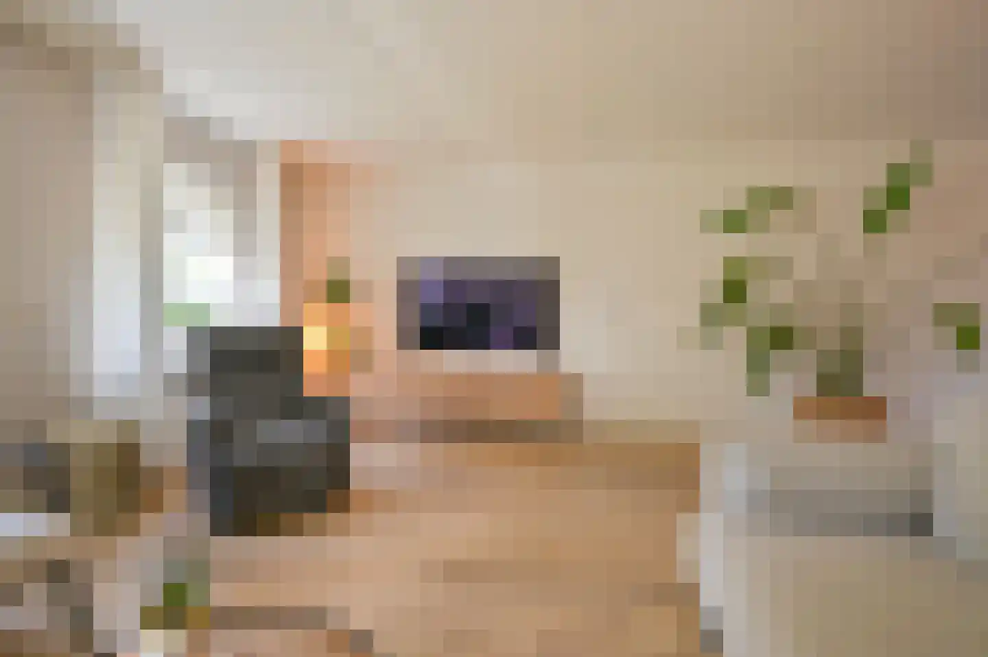 Dopheide 22 Odoorn thumbnail 23