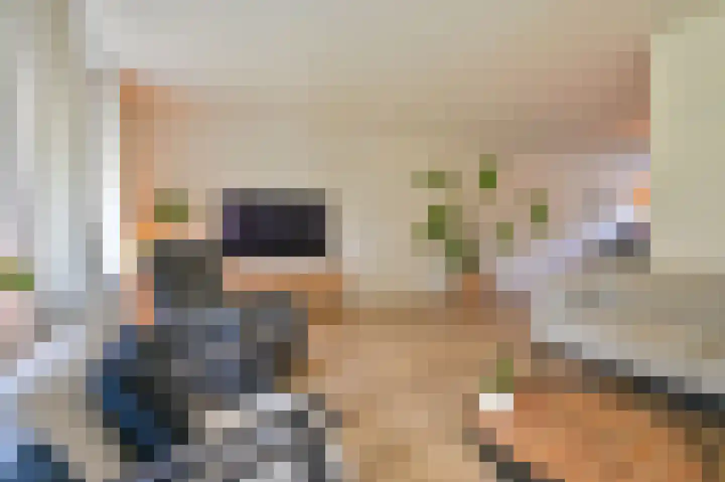 Dopheide 22 Odoorn thumbnail 24