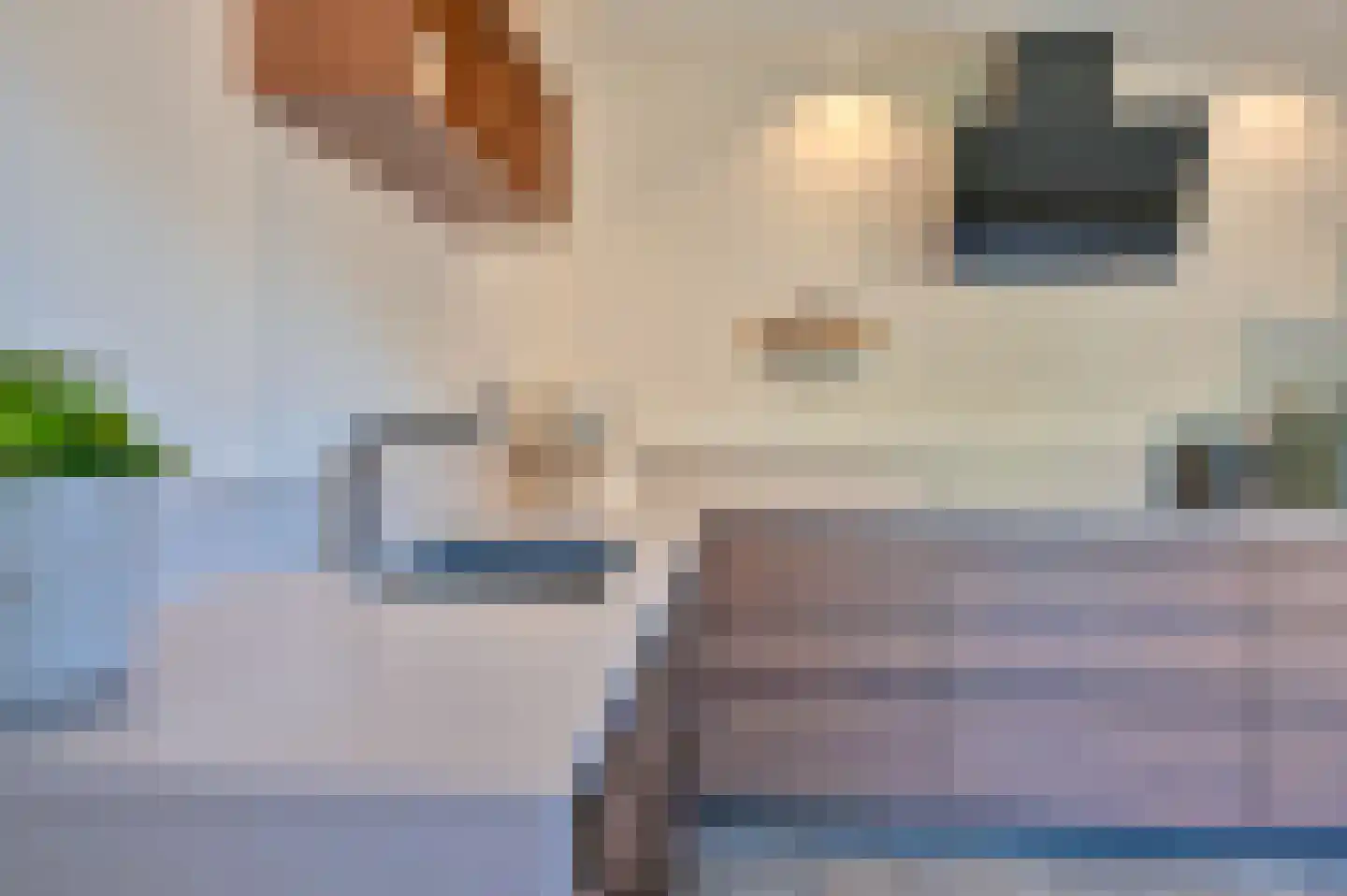 Dopheide 22 Odoorn thumbnail 31