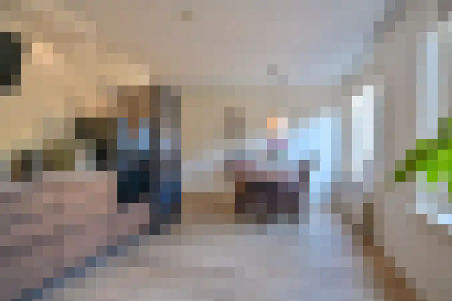 Dopheide 22 Odoorn thumbnail 33