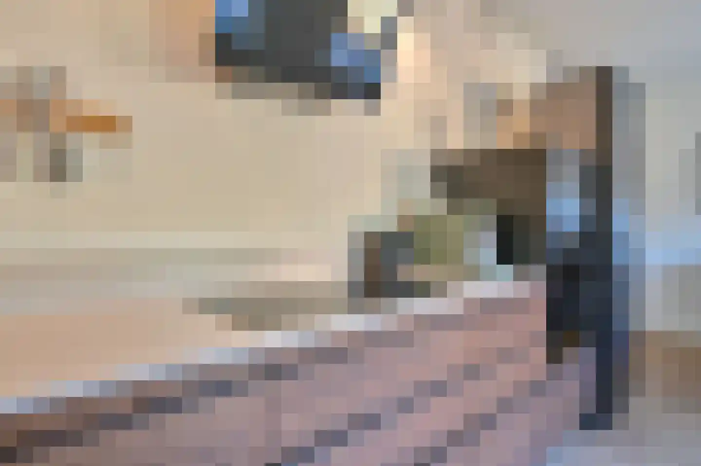 Dopheide 22 Odoorn thumbnail 34