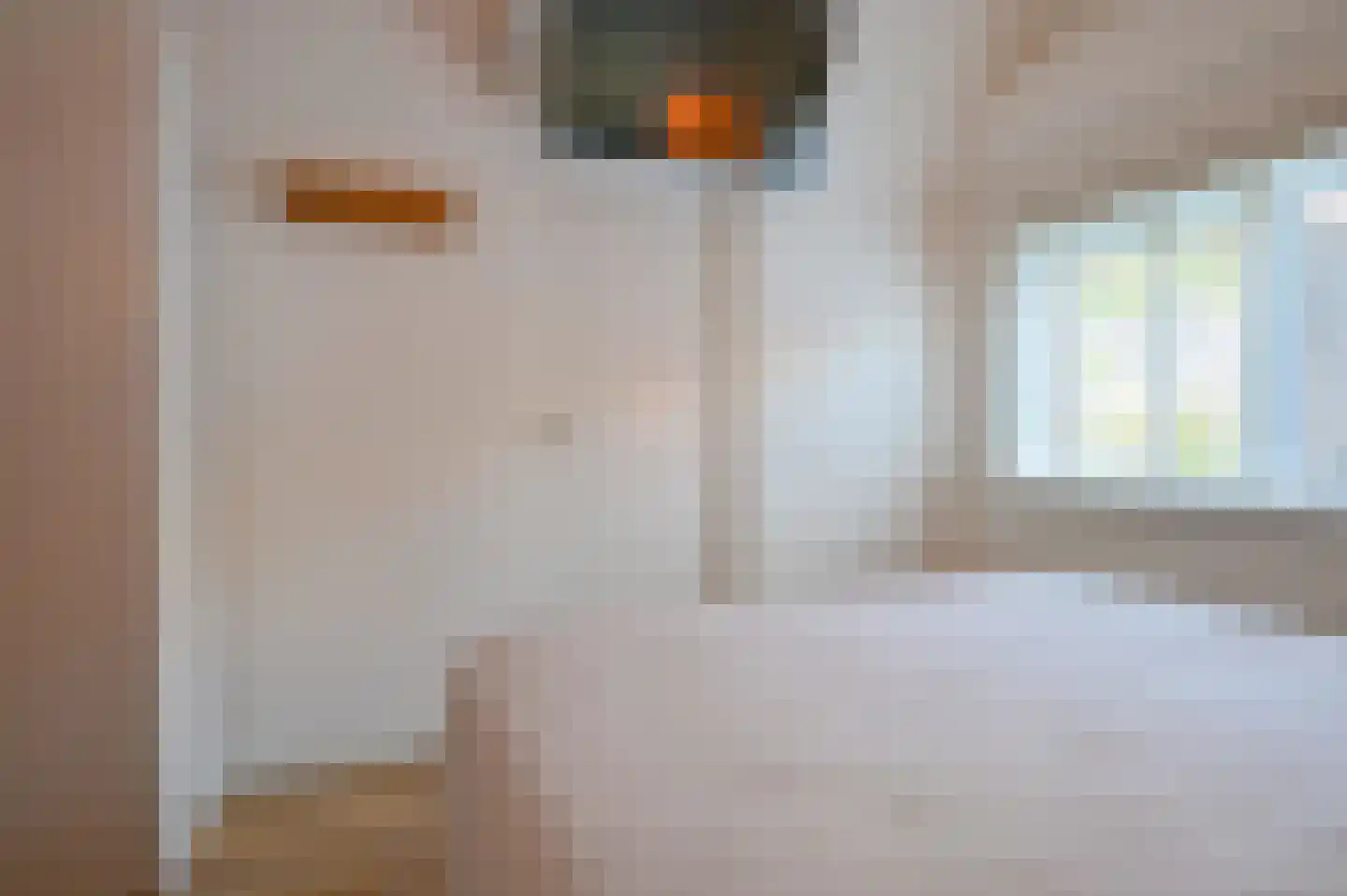Dopheide 22 Odoorn thumbnail 43