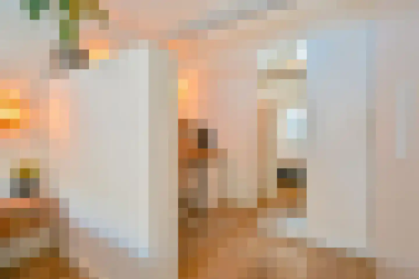 Dopheide 22 Odoorn thumbnail 44