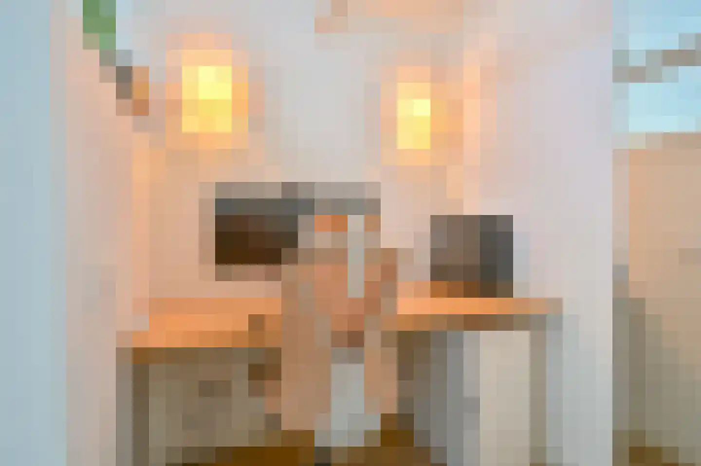 Dopheide 22 Odoorn thumbnail 45