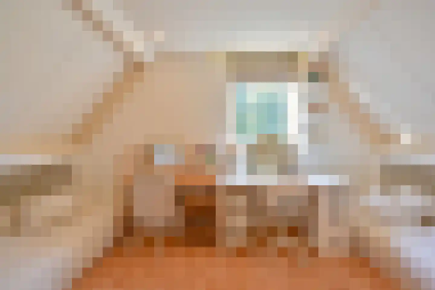Dopheide 22 Odoorn thumbnail 51