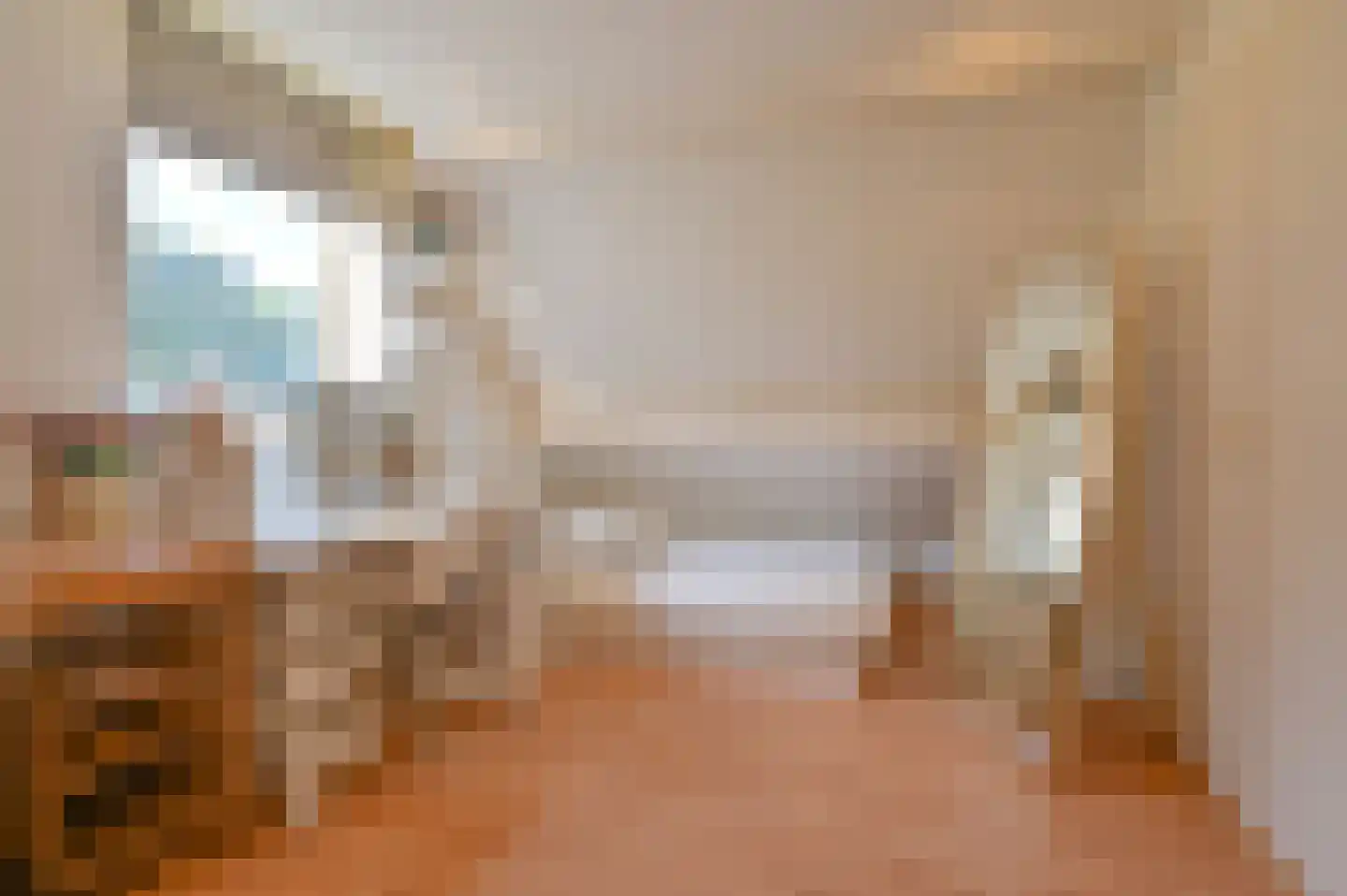 Dopheide 22 Odoorn thumbnail 52
