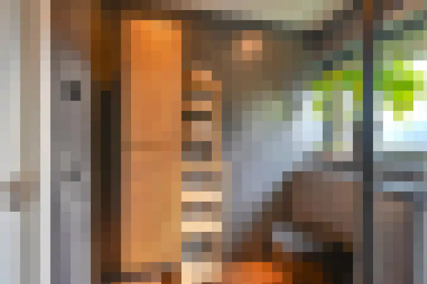 Dopheide 22 Odoorn thumbnail 57