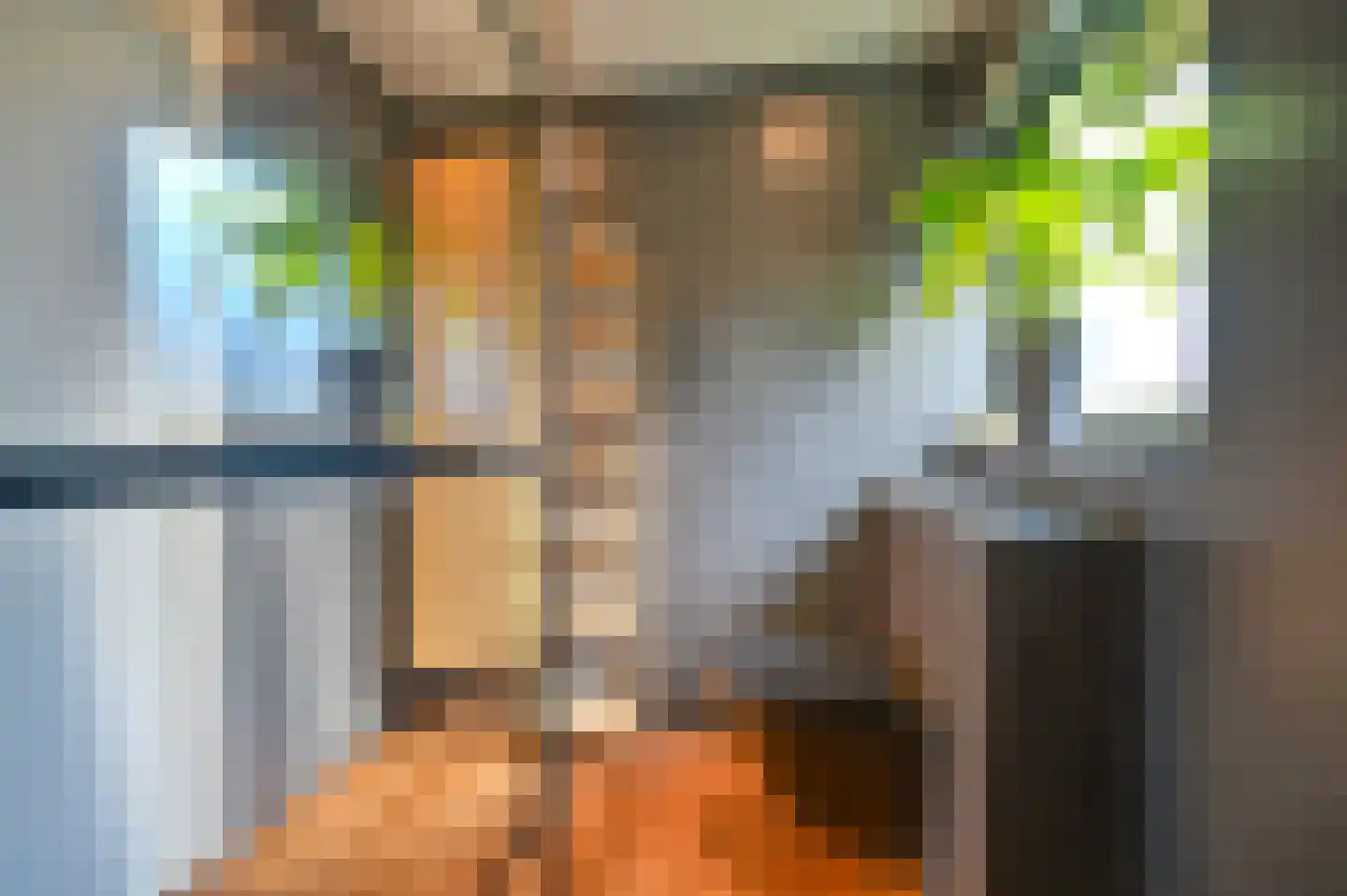 Dopheide 22 Odoorn thumbnail 59