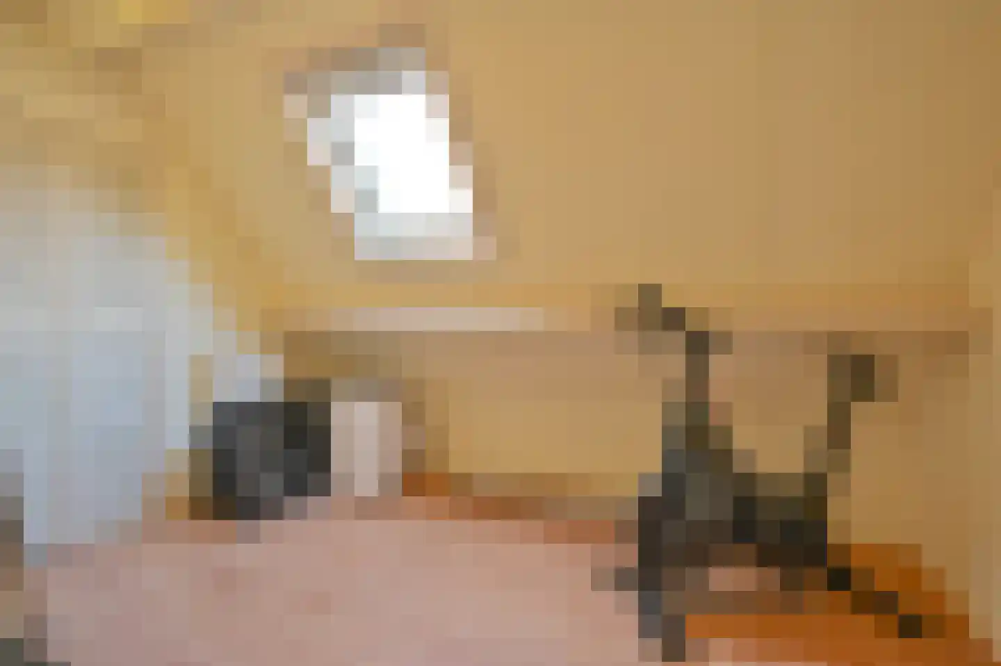 Dopheide 22 Odoorn thumbnail 65