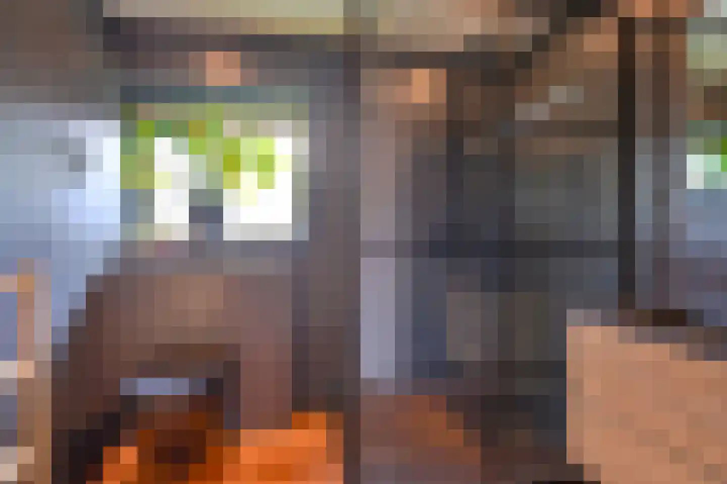 Dopheide 22 Odoorn thumbnail 7