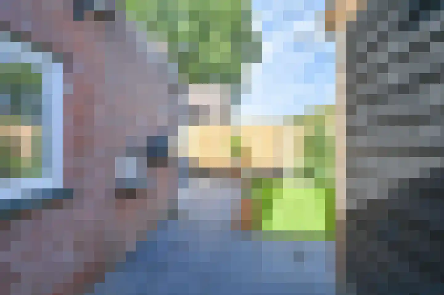 Dopheide 22 Odoorn thumbnail 70
