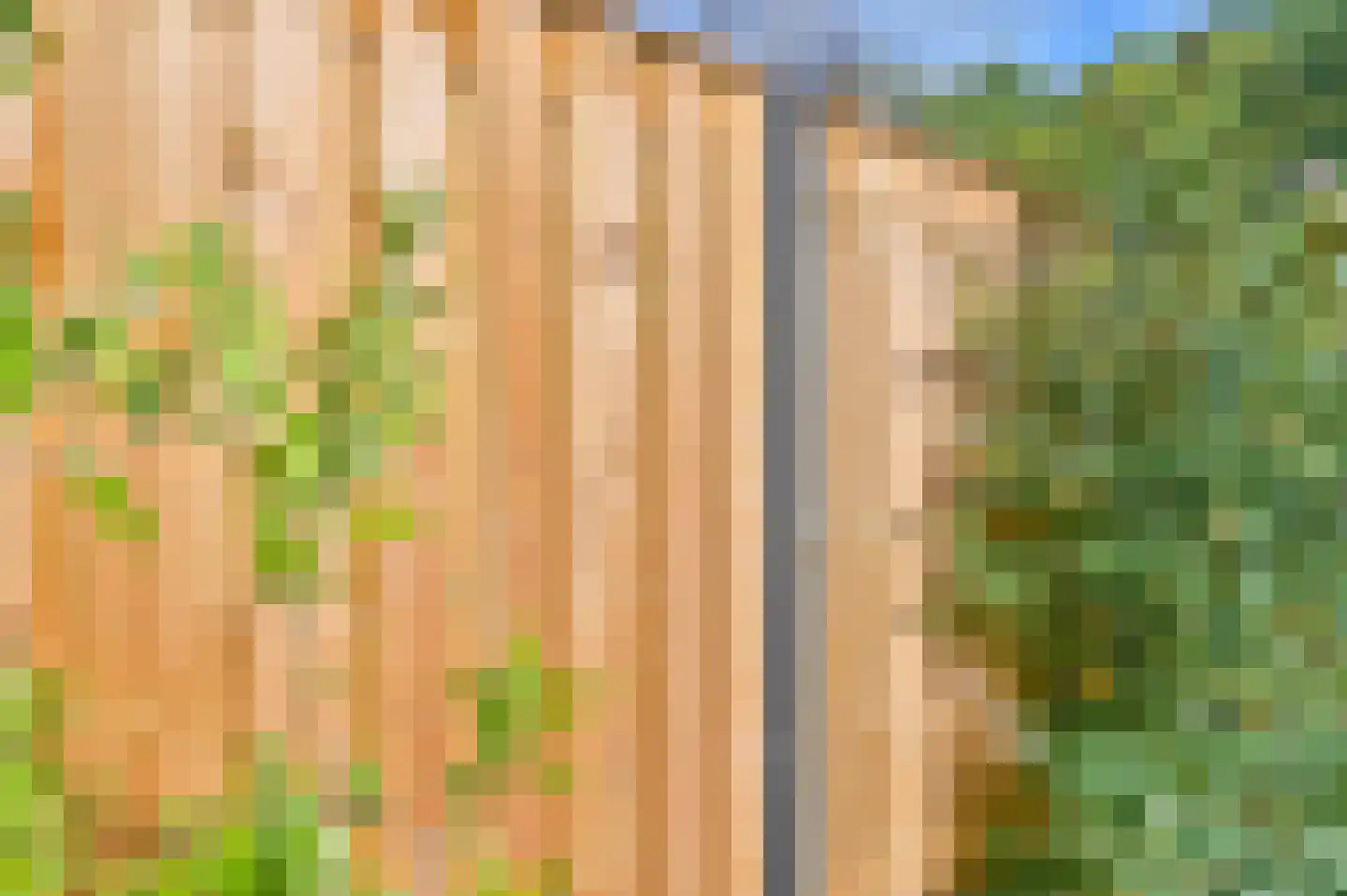 Dopheide 22 Odoorn thumbnail 73