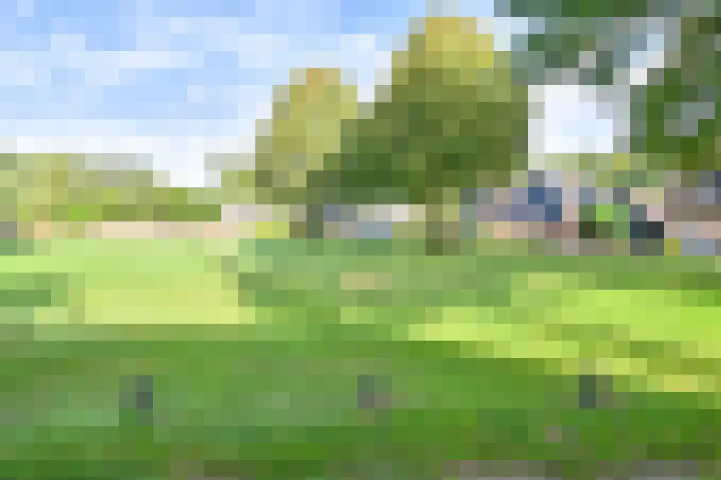 Dopheide 22 Odoorn thumbnail 80